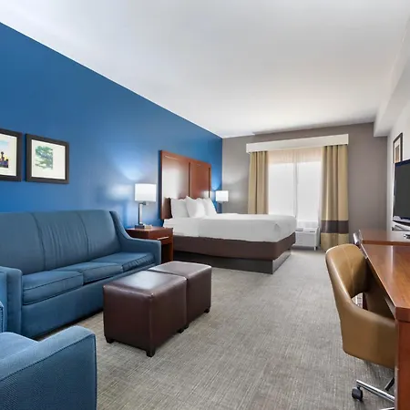 Comfort Suites Dfw N-Grapevine Exterior photo