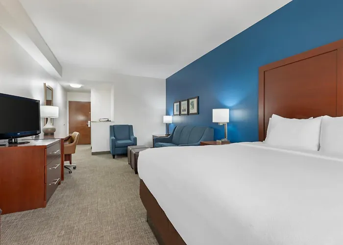 Comfort Suites Dfw N-Grapevine